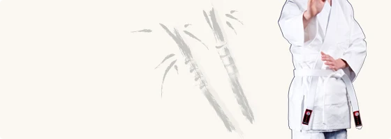 Keikogi